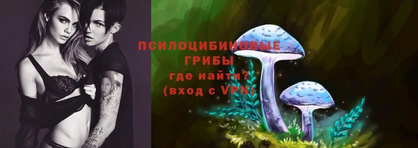 ешки Богородск