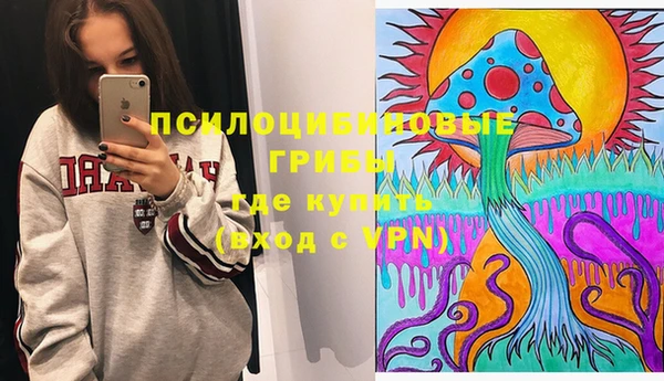 прущие грибы Богородицк