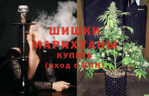 прущие грибы Богородицк