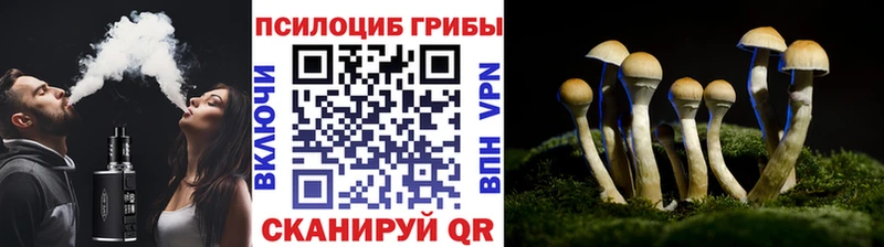 Галлюциногенные грибы Magic Shrooms  Буйнакск 
